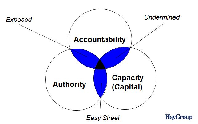Hay Group - Leadership Clarity
