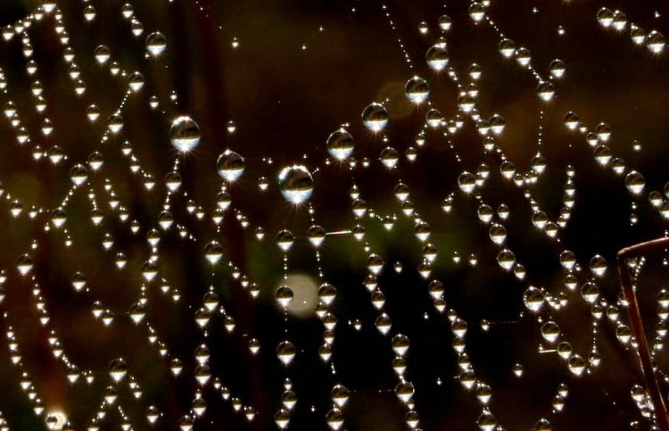 Photo Credit: giftedtypist via Compfight cc