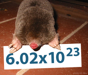 Photo Credit: Cowboytoast via Compfight cc