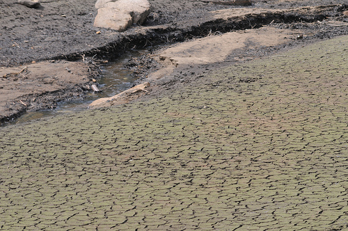 Photo Credit: incurable_hippie via Compfight cc