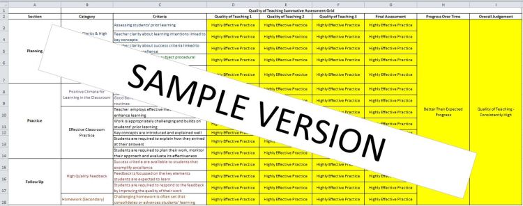Sample Screen shot of the Excel Spreadsheet which forms part of the Selfy Resource