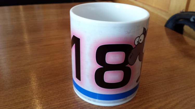 My 18th Camel Mug