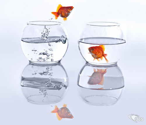 Photo Credit: Louish Pixel via Compfight cc