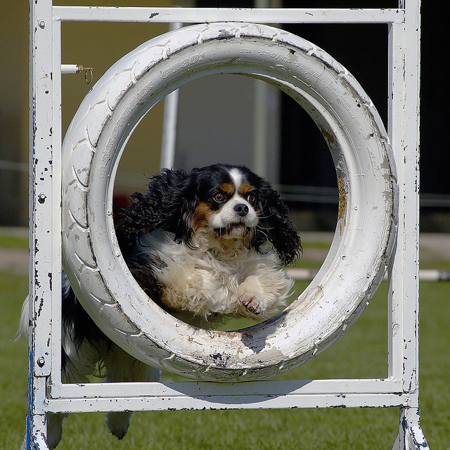 Photo Credit: Chuan Chew via Flickr cc