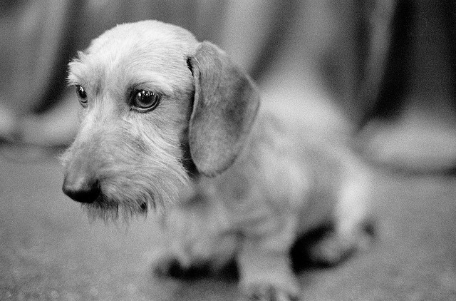 Photo Credit: James Gaither via Flickr cc