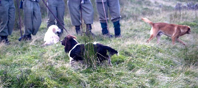 Photo Credit: Robert Maddison via Flickr cc