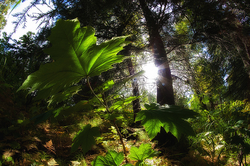 Photo Credit: Douglas Brown via Compfight cc