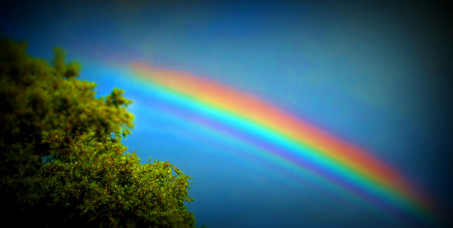 Photo Credit: Maria Antonletta via Flickr cc