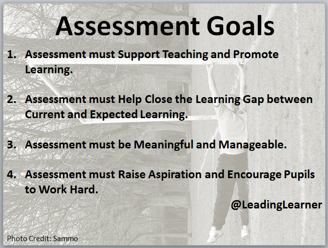 Assessment Goals
