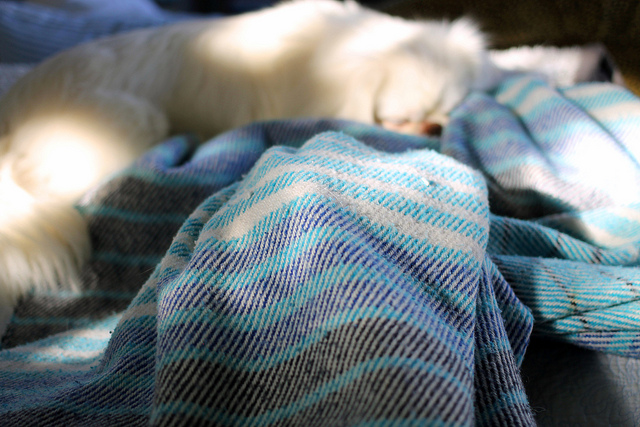 Photo Credit g-neato via Flickr cc