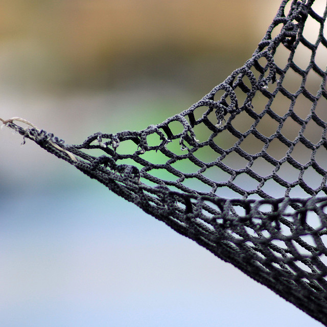 Photo Credit: Jenny Downing via Flickr cc