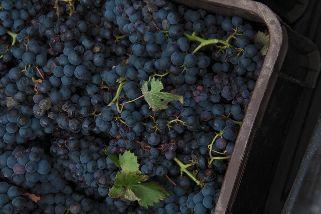 Photo Credit: Robert McIntosh via Flickr cc